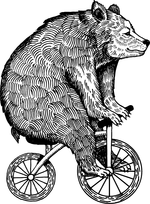 Illustration of bear on a bicycle