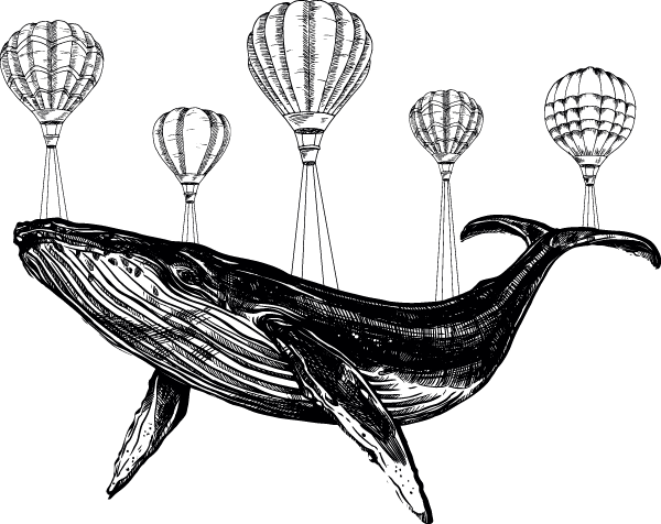 Illustration of whale and hot air balloons